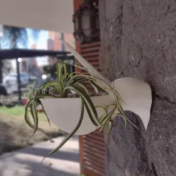 Pelican Shaped Planter: Give Flight to your Plants #PLANTERSXCULTS