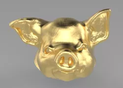 pig