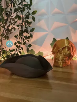 pirate hat
