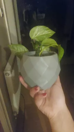 Plant pots and dish