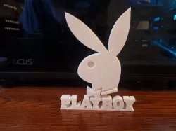 Playboy Bunny Logo