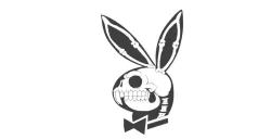 playboy skull