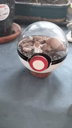 pokeball terrarium 2.0