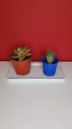 Potting dish