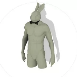 Rabbit With Sensual Position