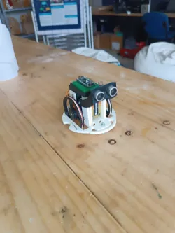 RoboCar