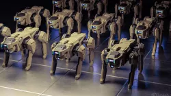 Robot dog