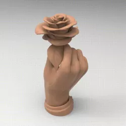 Rose
