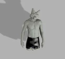 Sensual Fox With Boxer