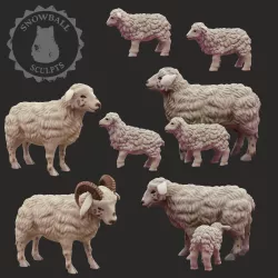 Sheep Family