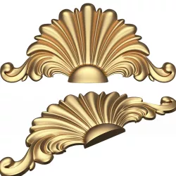 Shell Carved 04