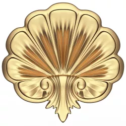 Shell Carved 05