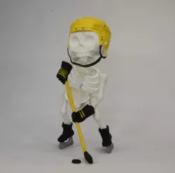 SKELETON ARTICULATED Hockey /Hockey SKELETON FLEXI
