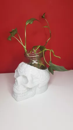 Skull pot / skull pot