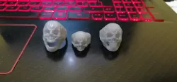 Skull Ring Basic