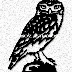 spotted owl nature wall art barn owl wall decor 2d art animal