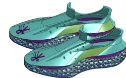 Sprinter shoe