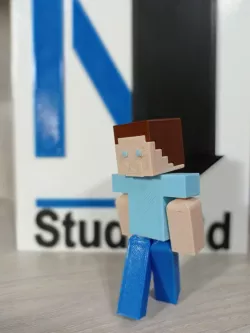 Steve MineCraft