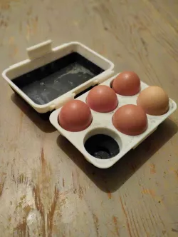 Sturdy egg carton (6)