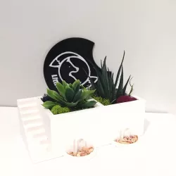 The Double Succulent Planter