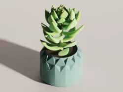 Tri - Faceted Polygonal Planter