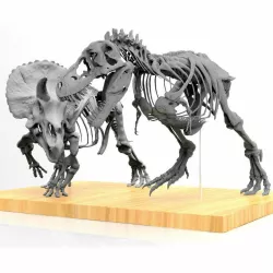Tyrannosaurus vs. triceratops v1