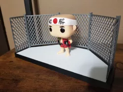 UFC style octagon arena