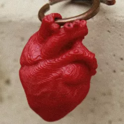 anatomical heart key ring