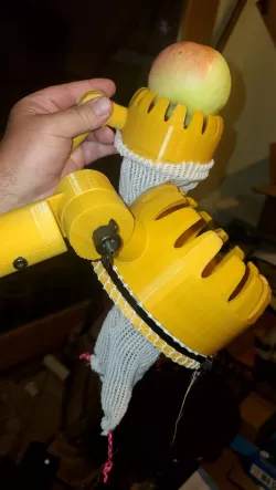 Apple Szed Fruit Picker