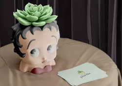 Betty Boop Plant Pot