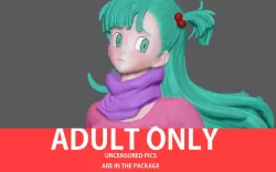 BULMA NFSW NAKED NUDE HENTAI SEXY GIRL DRAGONBALL ANIME 3D PRINT