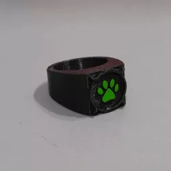 Cat Noir Ring