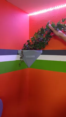 Corner Vase Wall mounted