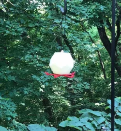 Dodecahedron Hummingbird Feeder