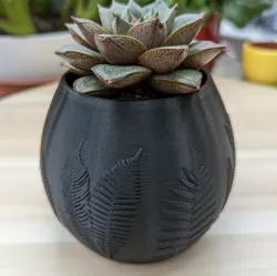 Embossed fern pattern planter, plant pot with drainage hole, leaf, nature