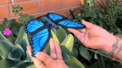 Flexi Blue Butterfly (Articulated) Print-in-Place Lever Toys