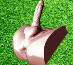 My Real Dick/Balls/Asshole (Erect) 🍆
