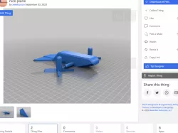 nice plane