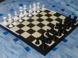 Portable Chessboard