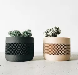 POT plant AZTEK 2