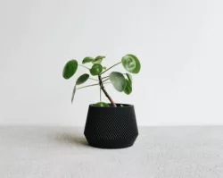 POT plant OSLo