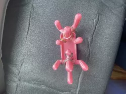 Ring holder
