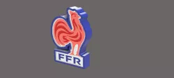 rugby france world cup 2023 logo lamp