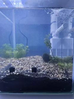 Shrimp cave fishtank aquarium hideout under substrate