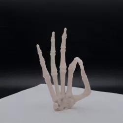 Skeleton Hand OK Sign Circle Game
