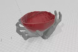 skull tray hands - 3d stl printable