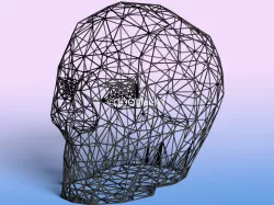 Skull - Wire Art