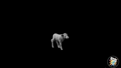 Small Cow/Calf figure