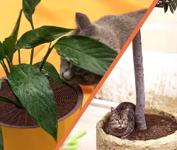Soil Protector for Circular Pot. Diameter from 10cm to 40cm