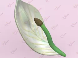 STAPIFILO (female masturbator)